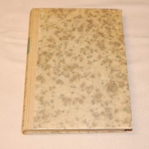 Lauri Tuomanen Mehiläisten hoito